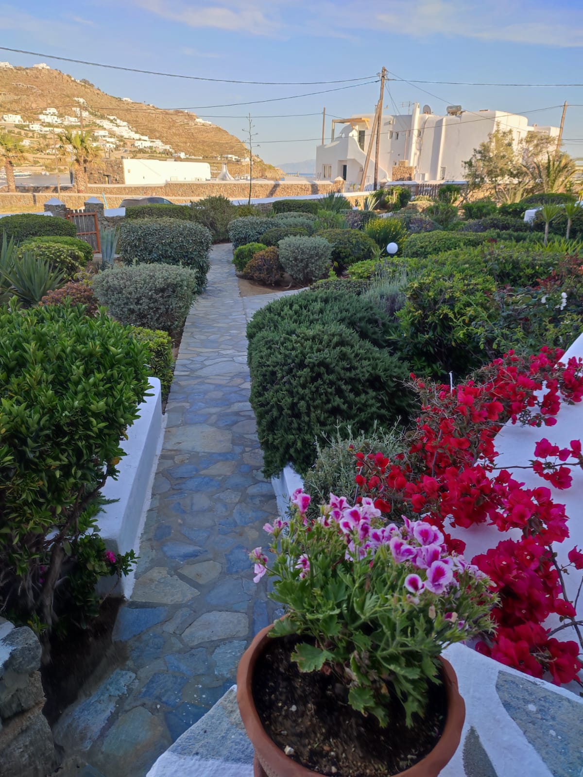 Garden Work